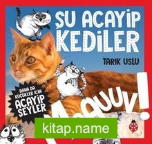 Daha da Küçükler İçin Şu Acayip Kediler