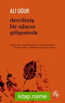 Devrilmiş Bir Ağacın Gölgesinde