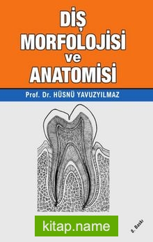 Diş Morfolojisi ve Anatomisi