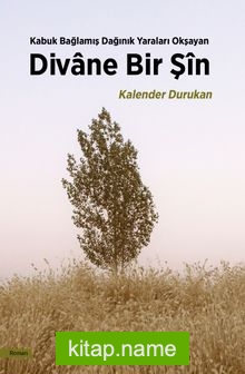 Divane Bir Şin