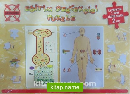 Eğitim Destekçisi Puzzle – İlköğretim 7. Sınıf Eğitim Serisi 2 B) / Konu: İç Salgı Bezleri ve Emilim