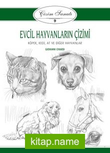 Evcil Hayvanların Çizimi