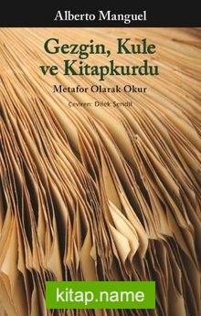 Gezgin, Kule ve Kitapkurdu  Metafor Olarak Okur