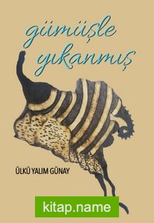 Gümüşle Yıkanmış