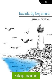 Havada Üç Beş Martı