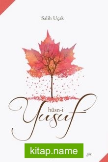 Hüsn-i Yusuf