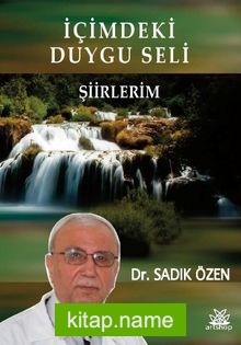 İçimdeki Duygu Seli