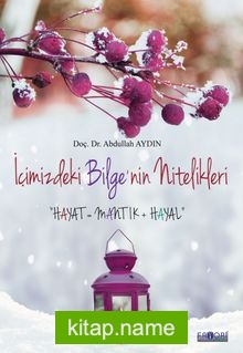 İçimizdeki Bilge’nin Nitelikleri