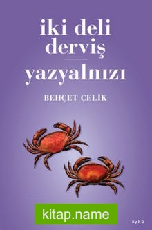 İki Deli Derviş – Yazyalnızı