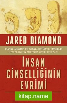 İnsan Cinselliğinin Evrimi