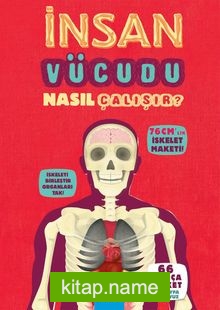 İnsan Vücudu Nasıl Çalışır?