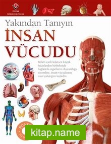 İnsan Vücudu – Yakından Tanıyın
