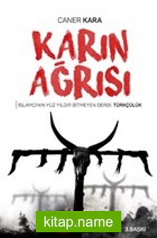 Karın Ağrısı