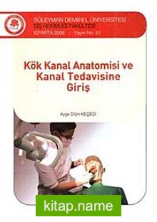 Kök Kanal Anatomisi ve Kanal Tedavisine Giriş