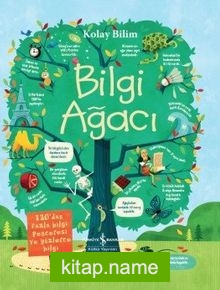 Kolay Bilim / Bilgi Ağacı