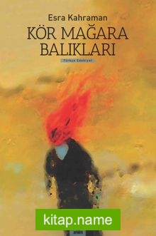 Kör Mağara Balıkları