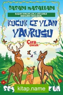 Küçük Ceylan Yavrusu