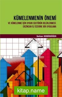 Kümelenmenin Önemi ve Kümelenme İçin Uygun Sektörün Belirlenmesi  Erzincan İli Üzerine Bir Uygulama