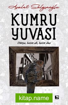 Kumru Yuvası