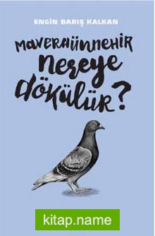 Maveraünnehir Nereye Dökülür?