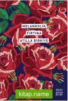 Melankolik  Fırtına