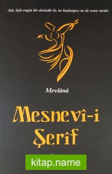 Mesnevi – İlahi Aşkı