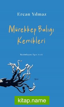 Mürekkep Balığı Kemikleri