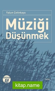 Müziği Düşünmek