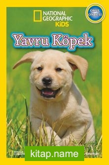 National Geographic Kids -Yavru Köpek