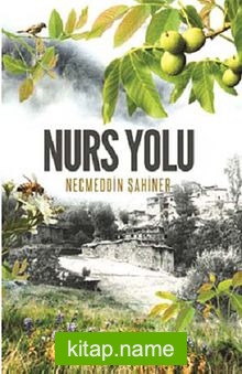 Nurs Yolu