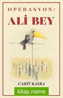 Operasyon: Ali Bey