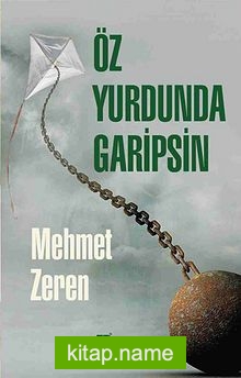 Öz Yurdunda Garipsin