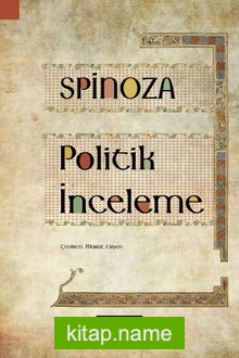 Politik İnceleme