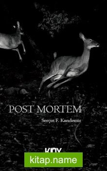 Post-Mortem