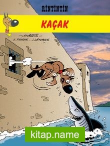 Rintintin 6 – Kaçak