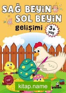 Sağ Beyin-Sol Beyin Gelişimi (3+ Yaş)