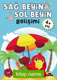 Sağ Beyin-Sol Beyin Gelişimi (4+ Yaş)