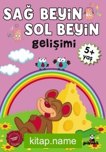 Sağ Beyin-Sol Beyin Gelişimi (5+ Yaş)