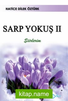 Sarp Yokuş 2