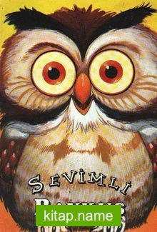 Sevimli Baykuş