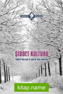 Şiddet Kültürü Şiddet Kültürü  Türkiye’nin Suç ve Sosyal Risk Hariyası