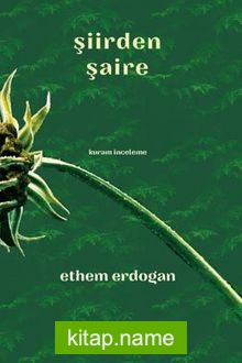 Şiirden Şaire