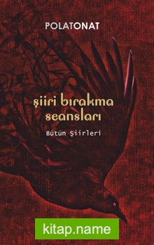 Şiiri Bırakma Seansları