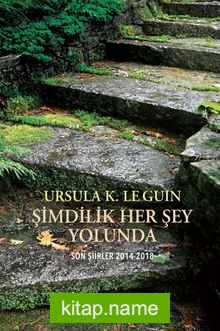 Şimdilik Her Şey Yolunda Son Şiirler 2014 – 2018