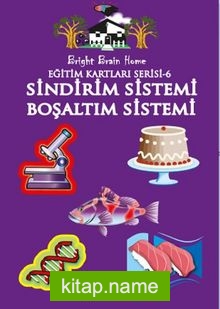 Sindirim Sistemi – Boşaltım Sistemi / Eğitim Kartları Serisi 6