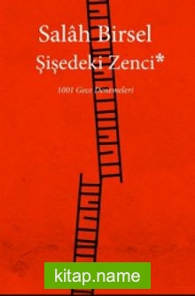 Şişedeki Zenci (1001 Gece Denemeleri)