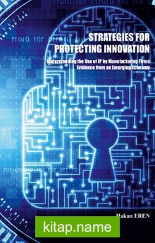 Strategies For Protecting Innovation