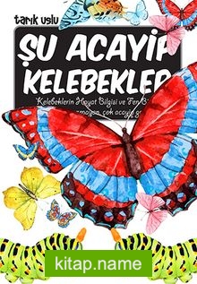 Şu Acayip Kelebekler