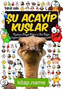 Şu Acayip Kuşlar