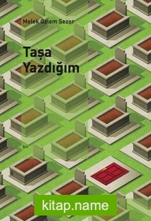 Taşa Yazdığım